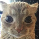 CheesEby-CheesEbys_Better_Mods icon