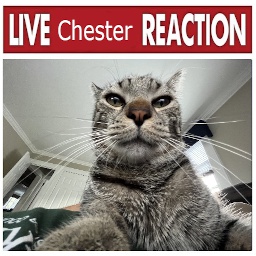 ChesterCord-Chester_ModPack icon