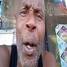 Chester_Squad-ChesterStoneHoardingBug icon