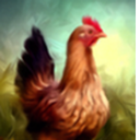 Chicken_Prime-LethalPrime icon