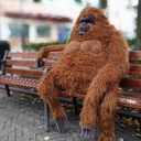 Chimpin-ApeMode icon