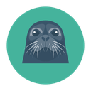 Chinpstorm-Dyzpack icon