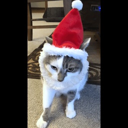 Chipichipi-LethalChipichipi icon