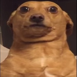 ChocoDuck-ChocoDuckModPack icon