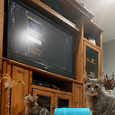 ChrisCouch-ChrisCouch_Mod_Pack icon