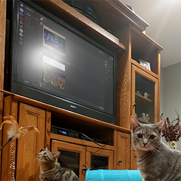 ChrisCouch-ChrisCouch_Mod_Pack icon