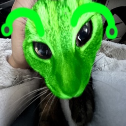 Chromosomeh-Its_whatever icon