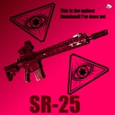 CiarenceW-SR25 icon