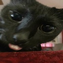 ClaireSkies-gamegoodener icon