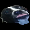 CloutScouts-Clout_Scouts icon