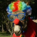 ClownHorse-Ores_RiskofClowns_Modpack icon