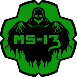 CodeRed_gg-MS13GangMemberInitiation icon