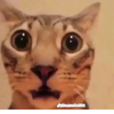 Coffee-Grub_Hub icon