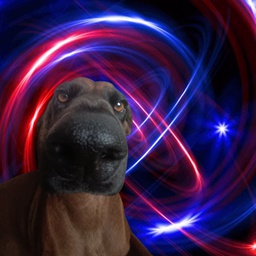 CoinRock-CoinRock_Company icon