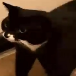 Colton-BabaBooey icon