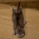 CompanyThatIsLethal-FriendMomence icon