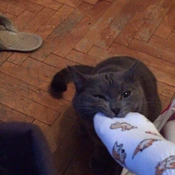 Comptoir-Modpack_Comptoir icon