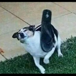 Conclave-FueraDeAy icon