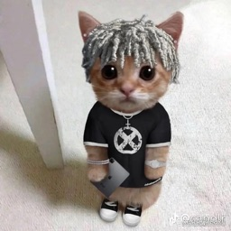 Confusion-ChunliPM icon