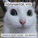 Coolyans-NewCooLyansSborich icon