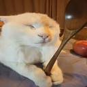 Coolyans-coolyanmods icon