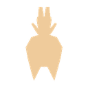 CopyKatt-Dinnerbone icon