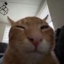 Corninspaghetti-Tooty_Bald_Head icon