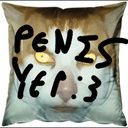 CrabTeam-Crabinsuit icon