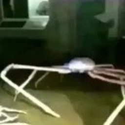 Crabomique-Crabpack_Boombox icon