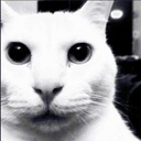 Crackhouse-CrackhouseCrackhouseCursedBoombox icon