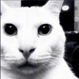 Crackhouse-CrackhouseCrackhouseCursedBoombox icon