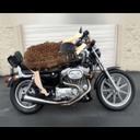 CrankinTheHog-Crankin_The_Modpack icon