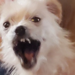 Crasher-CrashModPack icon