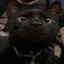 Creepy_Christmas_Cabin-Tv_Mod icon