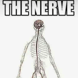 Cringus_Squad-The_Nerve icon