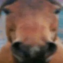 CronoTeam-CronoPack icon