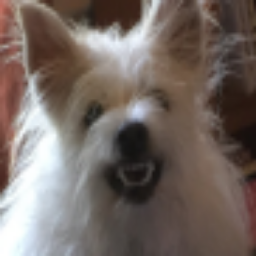 Cruffinites-TVPack_for_NonSaltyPack icon