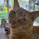 Crupt_Legussy-SpooshialPack icon