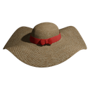 CunningFox146-The_Projection icon