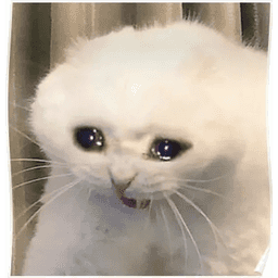 CursedIsles-CursedIsles icon