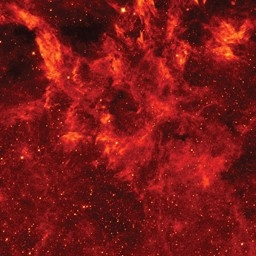 CurtisGang-CrazyCurtiss icon