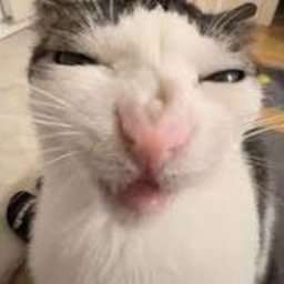 Cutesyvee1-Silly_Frie_Suit icon