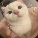 CutiePatooties-CutieModpack icon