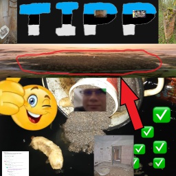 DAa-PEAK_Estonian_Translation icon