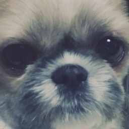 DDABANG-DDABANGSuitModtest icon