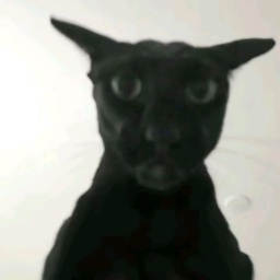 DMaidGirls-DMG_Pack_V2 icon