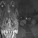 DMaidGirls-YUPYUP icon