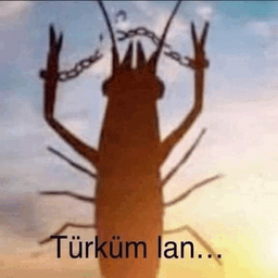 DUCKLLL-DUCKgamingTR icon