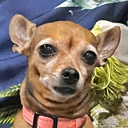 DUDU-oopth_ModPack icon