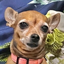 DUDU-oopth_ModPack icon